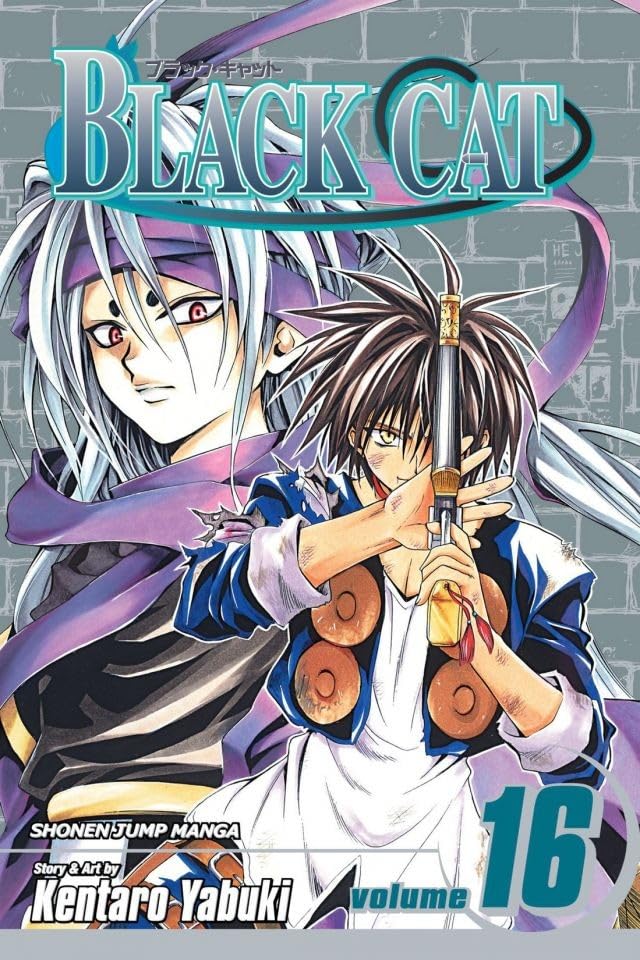 Cover image of the Manga Black-Cat-Vol-16