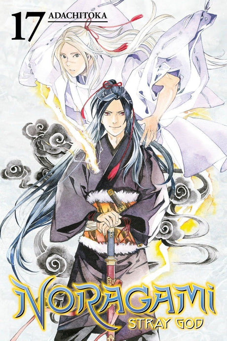 Cover image of Noragami: Stray God 17