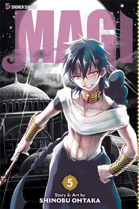 Cover image of Magi: The Labyrinth of Magic, Vol. 5