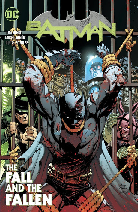 Cover image of Batman Vol. 11: The Fall and the Fallen