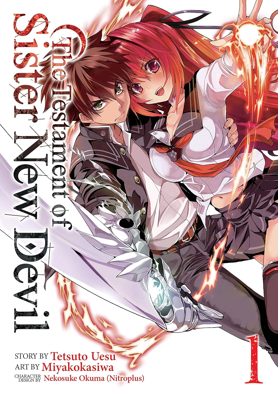 Cover image of The Testament of Sister New Devil Vol. 1