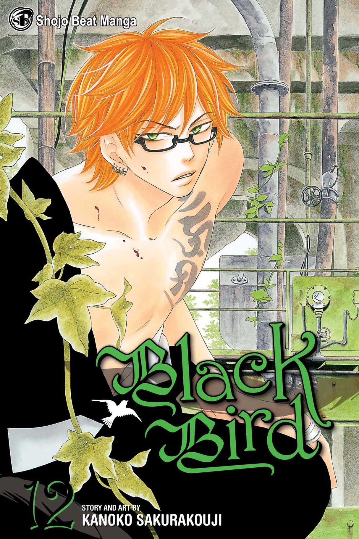 Cover image of the Manga Black-Bird-Vol-12