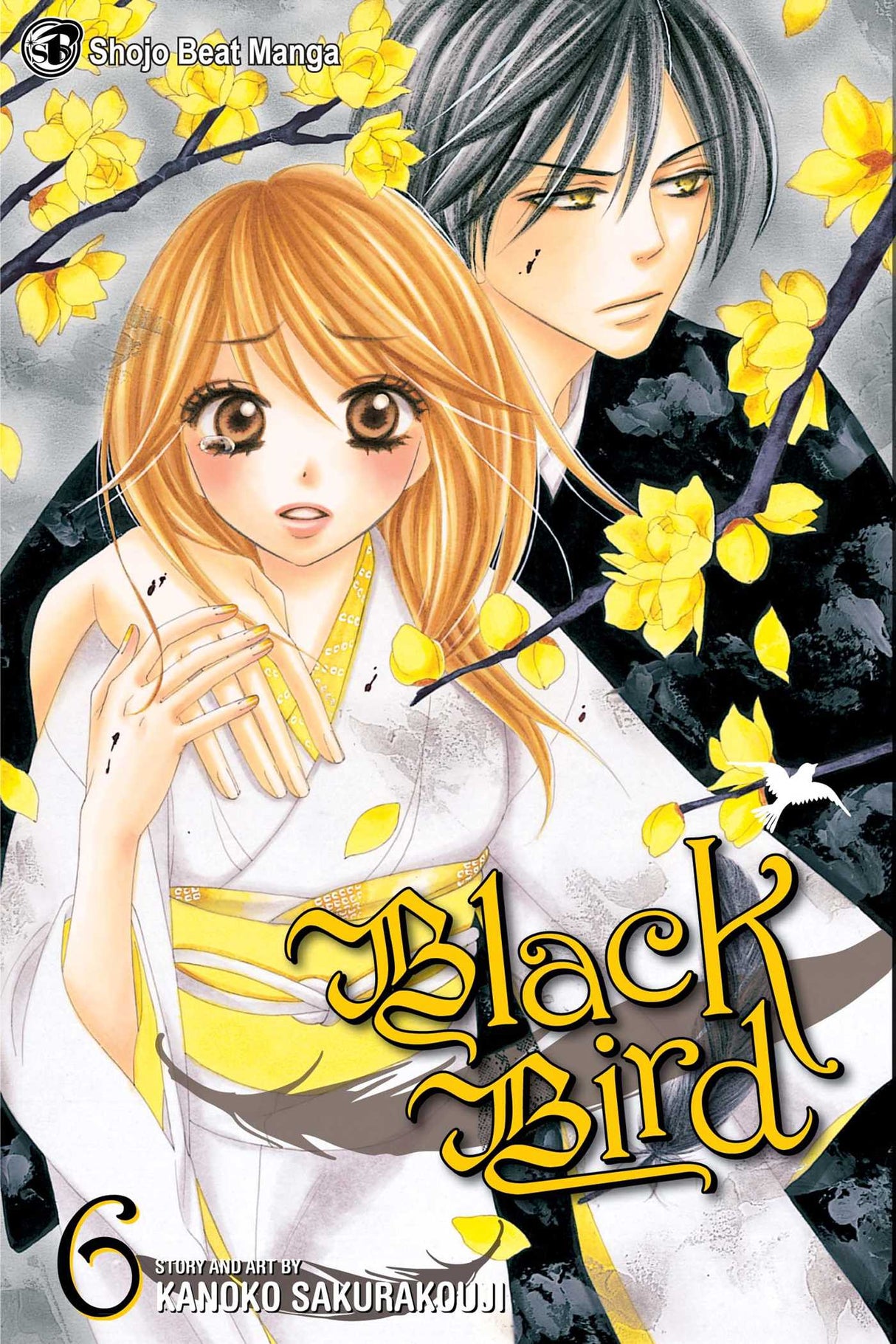 Cover image of the Manga Black-Bird-Vol-6