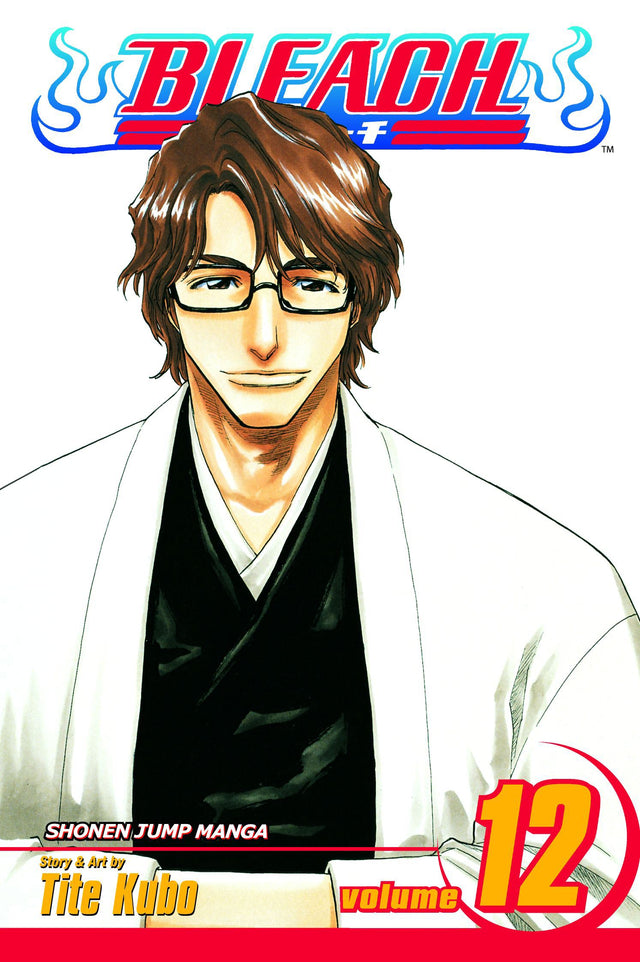 Cover image of the Manga Bleach, Vol. 12: Flower on the Precipice