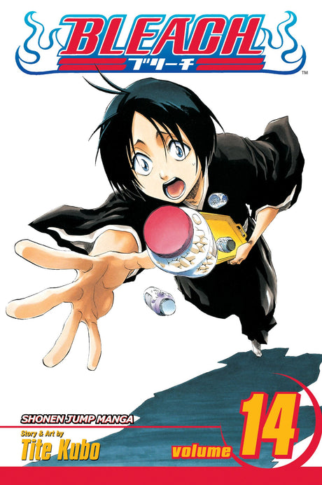 Cover image of the Manga Bleach, Vol. 14: White Tower Rocks