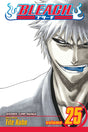 Cover image of the Manga Bleach, Vol. 25: No Shaking Throne