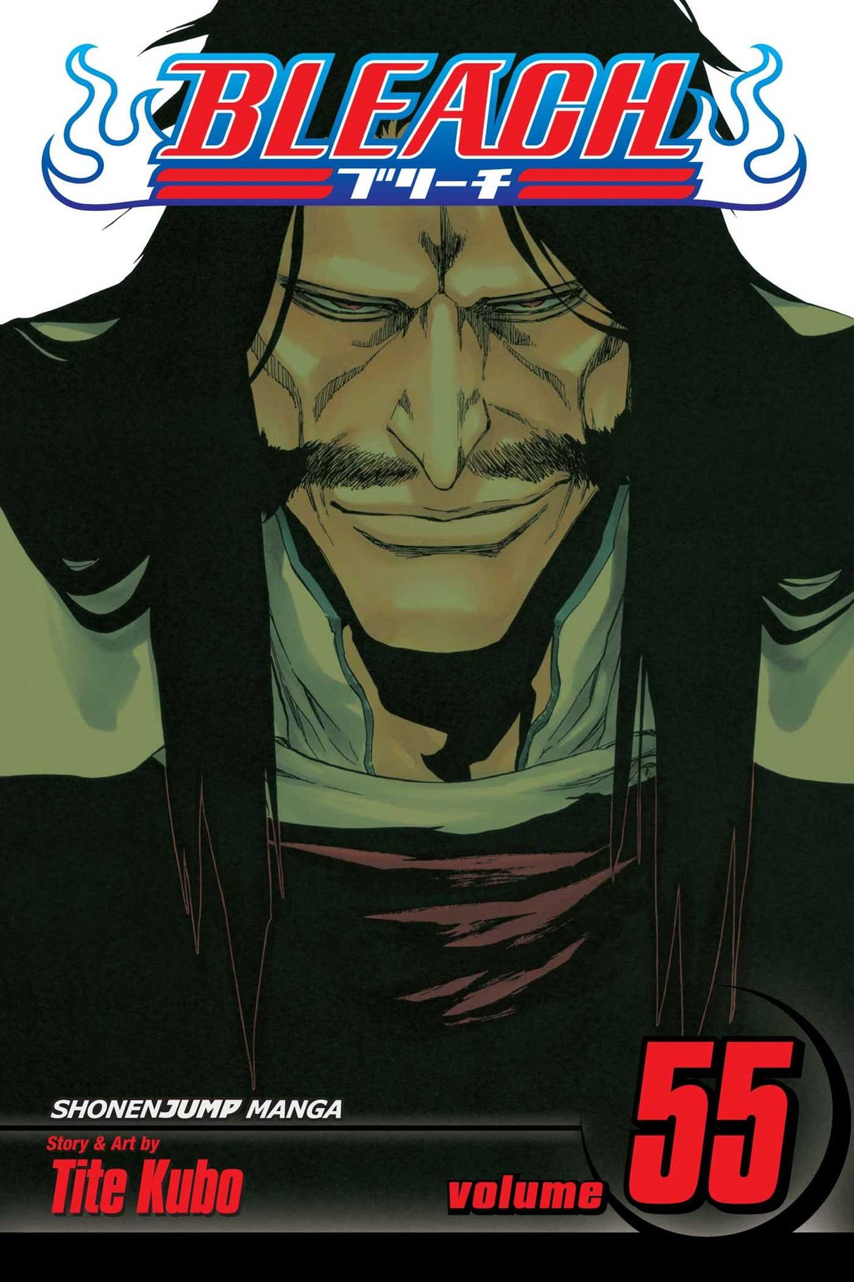 Cover image of the Manga Bleach, Vol. 55: The Blood Warfare