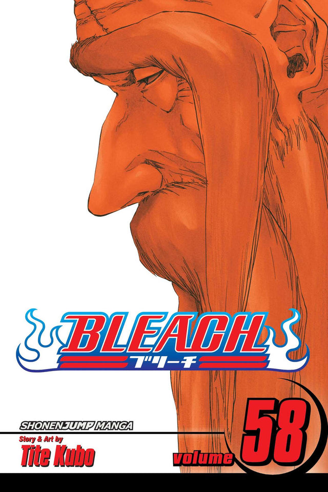 Cover image of the Manga Bleach, Vol. 58: The Fire
