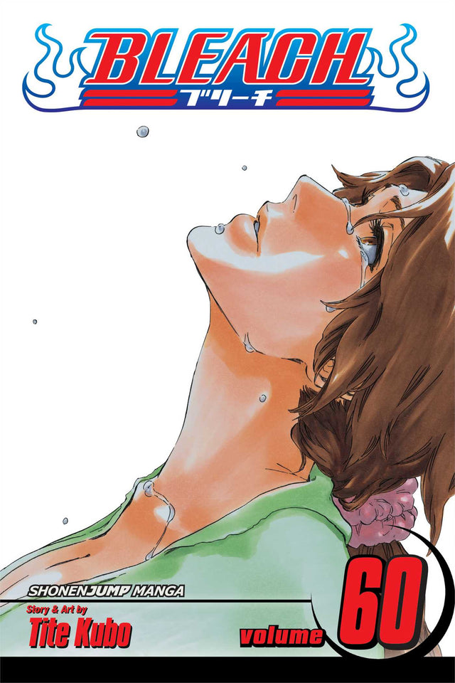 Cover image of the Manga Bleach, Vol. 60: Everything But The Rain