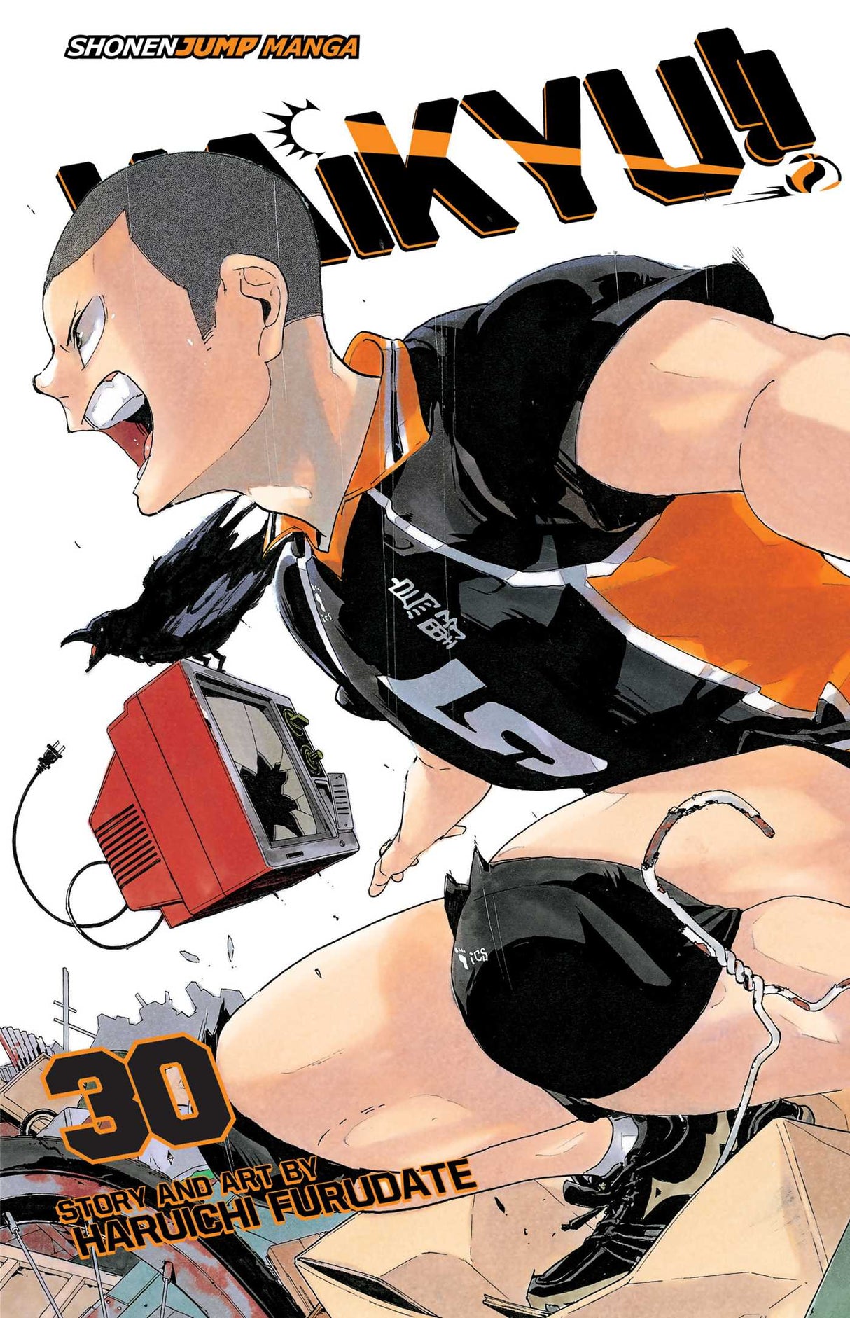 Cover image of the Manga Haikyu!!, Vol. 30