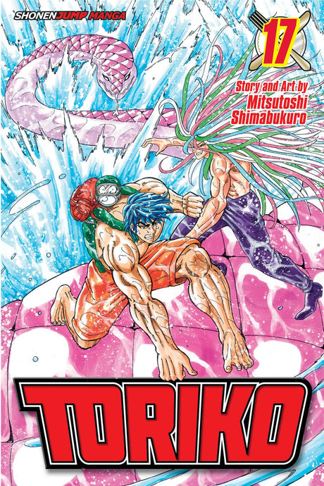 Cover image of the Manga Toriko-Vol-17