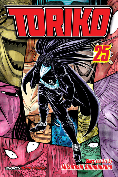 Cover image of the Manga Toriko-Vol-25